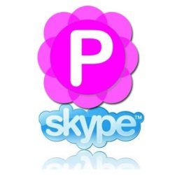 Скачать бесплатно Pamela for Skype Basic